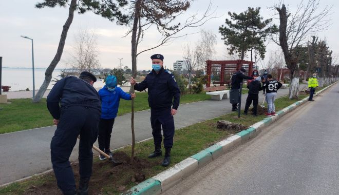 Jandarmii constănţeni solidari cu natura. 171 puieţi de stejari, plantaţi la Techirghiol - jandarmii2-1617377593.jpg