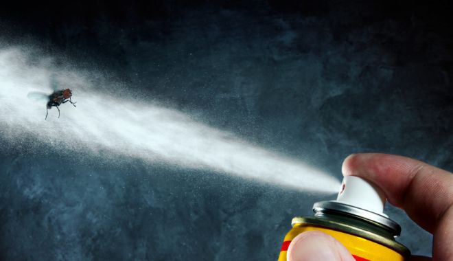 Soții care au murit intoxicați cu insecticid cumpăraseră spray-ul din comerț. Avertismentul specialiștilor - jmhhc2g9mjg1nwu1nzbiotewndflnmqx-1690470265.jpg