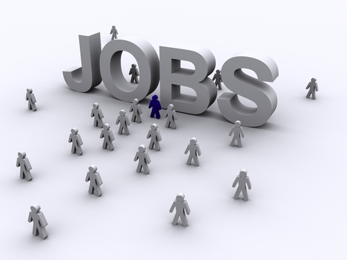Locuri de muncă/ Vezi aici oferta pentru săptămâna aceasta - jobs-1340527199.jpg