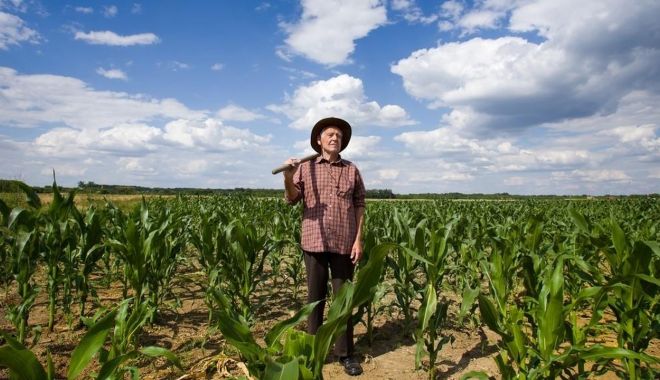 Barbu: APIA a plătit 95% dintre fermieri; Comisia Europeană ne-a rambursat deja 800 de milioane de euro