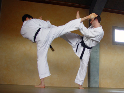 Cupa Mondială la karate, în week-end, la Năvodari - karate-1323354132.jpg