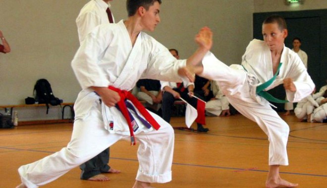 Karatiștii merg la Râmnicu Vâlcea - karate-1393269985.jpg