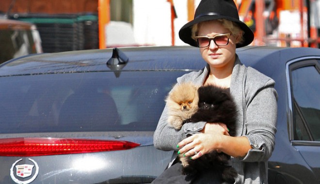 Crăciun tragic pentru Kelly Osbourne - kellyosbournedognoodles-1324902134.jpg
