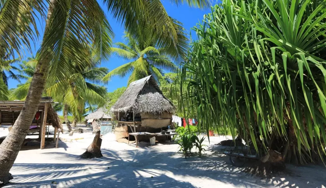 Lumea se pregătește de Anul Nou. Kiribati a intrat deja în 2026 - kiritimatiinsulacraciunuluiscale-1767176604.webp