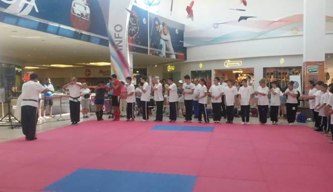 Kung-Fu: Au început înscrierile pentru Campionatul Național de la Constanța - kungfu-1436348628.jpg
