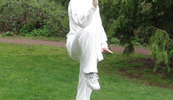 Luptătorii de la CS Marea Neagră se pregătesc cu un mare maestru chinez de Kung Fu - kungfustagiumaestru-1368716345.jpg