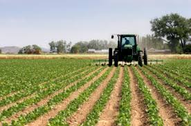 La 1 iulie pot fi depuse proiecte prin Programul Național de Dezvoltare Rurală 2014-2020 - la1iulie-1434448566.jpg