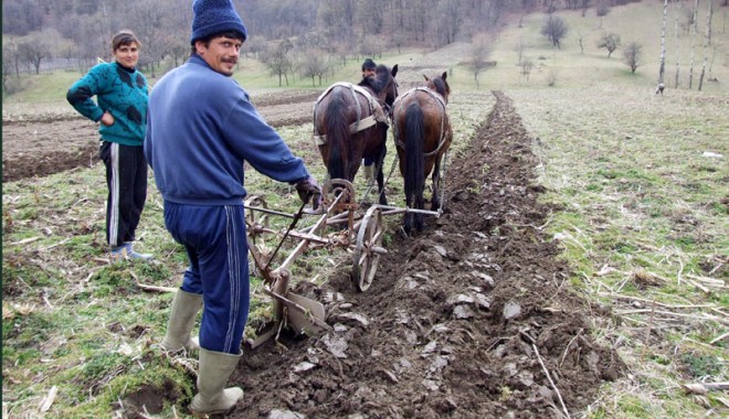 Ne-așteptă încă o jumătate de secol de agricultură de subzistență - laaratcupluguldefiertrasdecaifot-1309535958.jpg