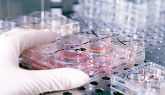 LABORATOARE DE ANALIZE CU FIȘE FICTIVE, LA CONSTANȚA - laboratoareanalize-1385140700.jpg