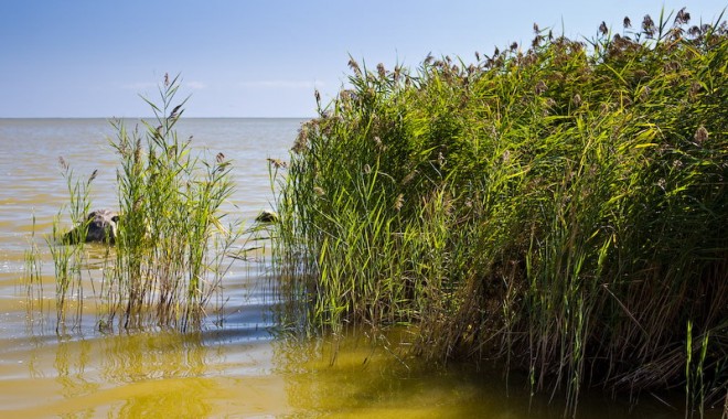 Trei ore au căutat, aseară, pompierii un cadavru în lacul Sinoe - laculsinoe-1336030910.jpg