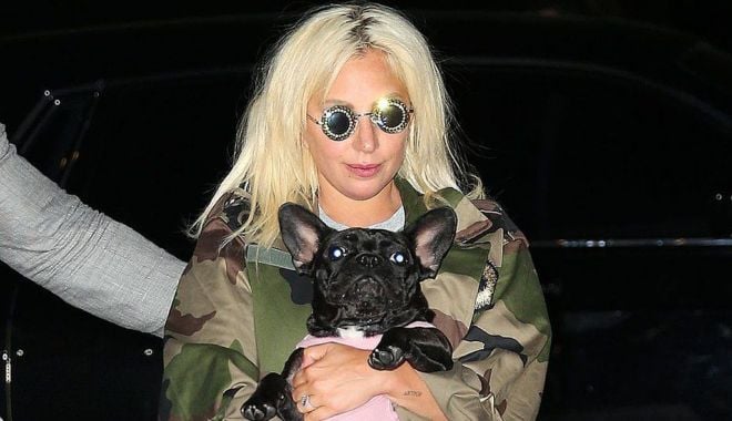 BBC: Cinci persoane arestate în cazul răpirii câinilor lui Lady Gaga - lady-1619763572.jpg