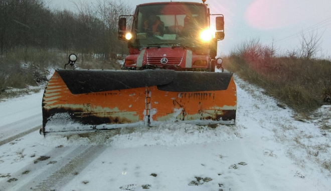 NINSORI VISCOLITE LA CONSTANȚA / Se intervine în forță - lama-1483087441.jpg