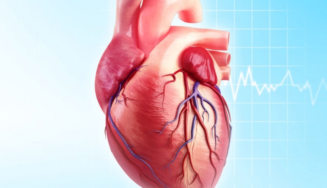 Bolile de inimă omoară mai mulți oameni decât cancerul - landscape1445720571gheartdisease-1500468769.jpg