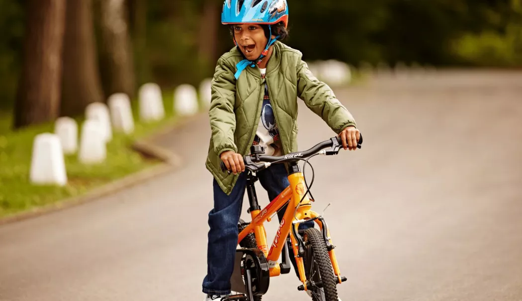 Lanțul de la bicicletă - lantul-de-la-bicicleta-1773766775.webp