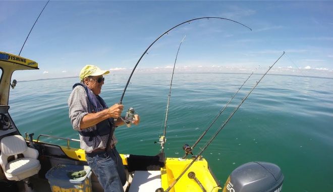 La pescuit… - lapescuit-1582320685.jpg