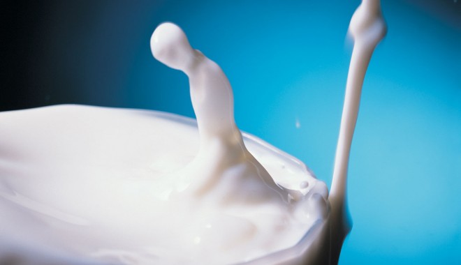 ANSVSA / În România nu se comercializează lapte din Serbia contaminant cu aflatoxine - lapte-1361458636.jpg