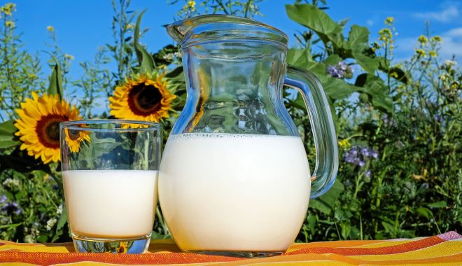 Vrei să ai un somn mai bun? Încearcă laptele de floarea-soarelui - laptele-1767722180.webp