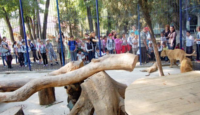 Primarul Matei a invitat 40 de copii  la mini grădina sa zoologică - leizoonavodari-1318165714.jpg