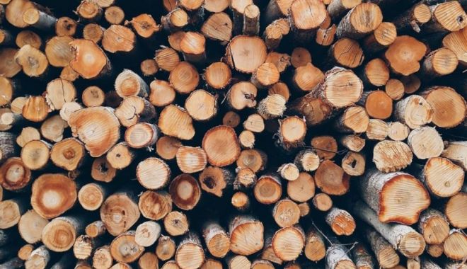 Românii sunt speriaţi că nu vor avea gaz suficient. Cerere mare pentru lemne de foc, scumpiri de până la 40% - lemn-1661180648.webp