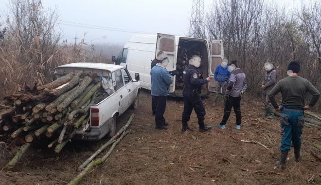 Persoane prinse în flagrant în timp ce tăiau și sustrăgeau material lemnos - lemn-1670512932.jpg