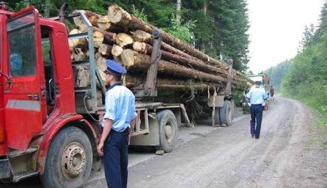 Trafic cu lemn în porturile Constanța și Constanța Sud-Agigea. Ce spune MAI - lemne-1474022760.jpg