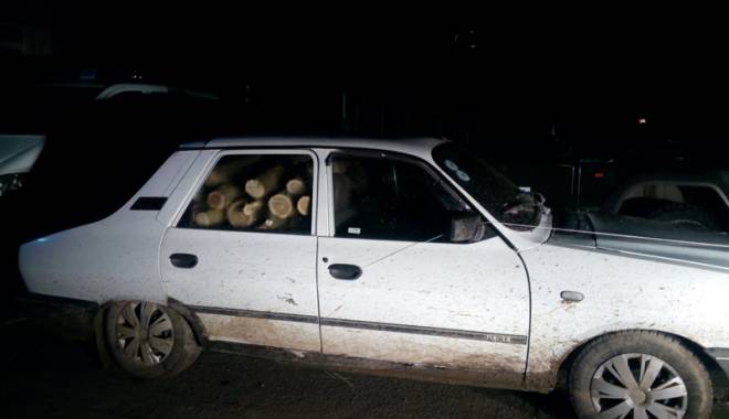 Cu topoare și drujbe! Tăieri ilegale  în pădurile constănțene - lemne1-1452789256.jpg