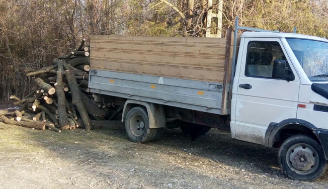 Lemne tăiate ilegal,  confiscate dintr-o camionetă, la Constanța - lemne1-1488215012.jpg