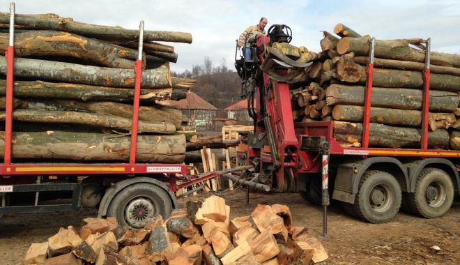 Romsilva pune la dispoziția populației peste un milion de metri cubi de lemn pentru foc - lemnedefoc-1599066121.jpg