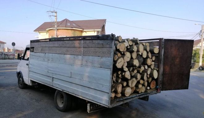 Captură făcută de jandarmi: un transport ilegal de lemne - lemnejandarmi2-1570219408.jpg