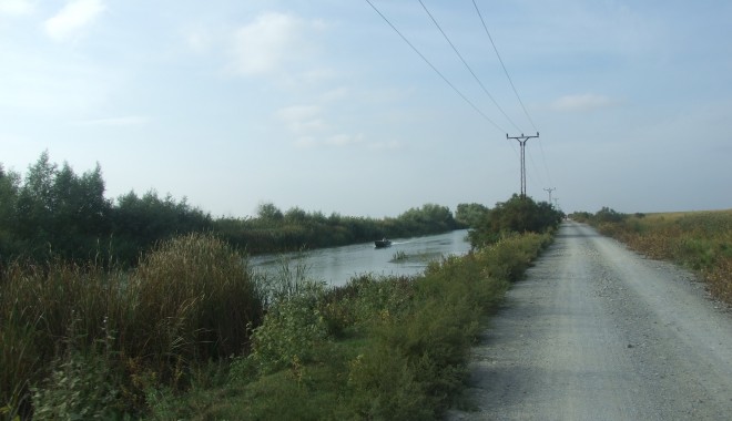 Braconaj cinegetic în pădurea Letea - letea-1362144760.jpg
