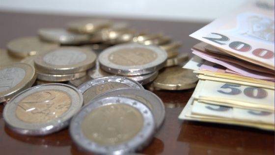 Euro sare de  4,44 lei - leu1368453565-1383913243.jpg