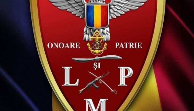 SOS pentru Ana Maria. Liga Militarilor Profesioniști face un apel umanitar