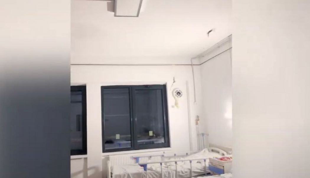 Lilieci, într-un salon de copii, în spital. Reacția conducerii: „Au intrat atrași de lumină” - liliac-1730816527.jpg