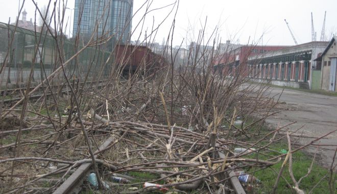 Linii de cale ferată de peste 27 de kilometri vor fi repuse în circulație, în portul Constanța - liniidecaleferatadepeste27dekilo-1673281492.JPG