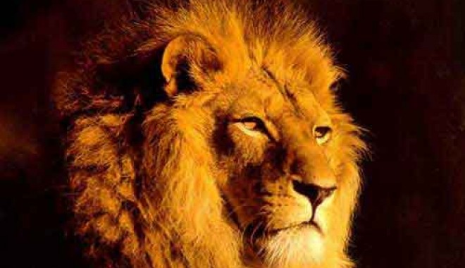 Muzica și leii în deșert - lion-1316211314.jpg