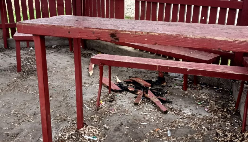 Acte de huliganism în comuna Lipniţa. Primarul face apel la cetățeni - lipnita-probleme-1733665126.jpg