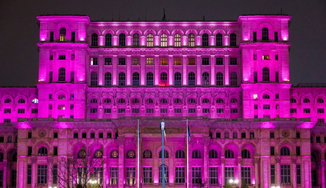 Palatul Parlamentului iluminat în mov pentru marcarea Purple Night Romania - lmherowebsitepic-1764749357.png