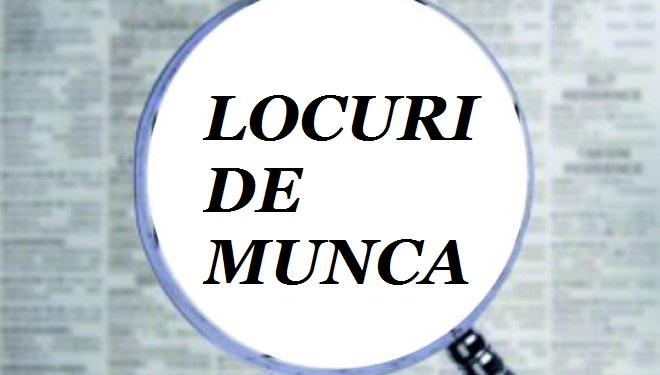 Constănțeni, atenție. Locuri de muncă disponibile! - locuridemunca-1492682040.jpg