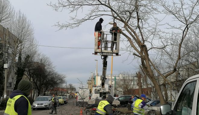 Continuă lucrările de toaletare a arborilor din Constanța - lucraridetoaletare1-1581701271.jpg