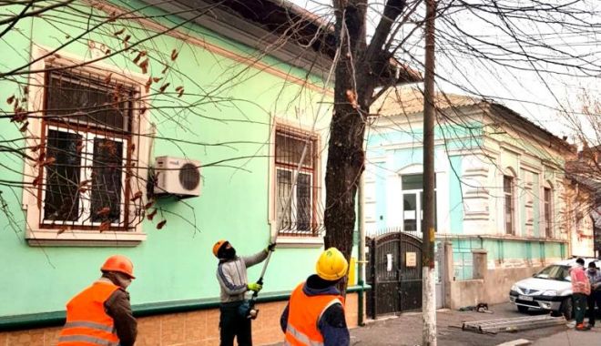 Lucrările de toaletare a arborilor au fost reluate în această săptămână! - lucrariledetoaletare-1578665996.jpg