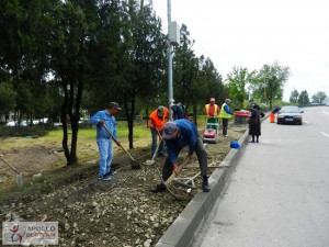 Primăria Medgidia a demarat lucrările de îngrijire a spațiilor verzi - lucrarispatiiveryidscn6257300x22-1463663711.jpg