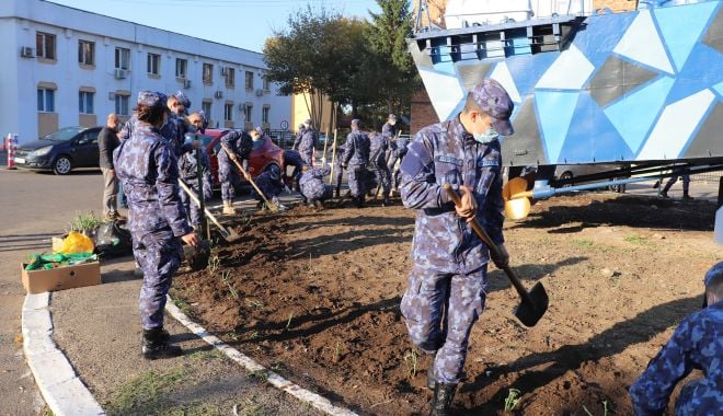 „Lumea de sub navă”. Elevii şi studenţii militari au plantat trandafiri - lumeadesubnava-1634924847.jpg