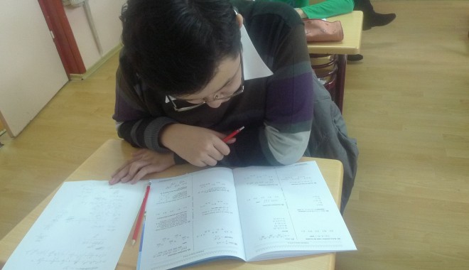 Număr record de participanți la Lumina Math - lumina-1322213994.jpg