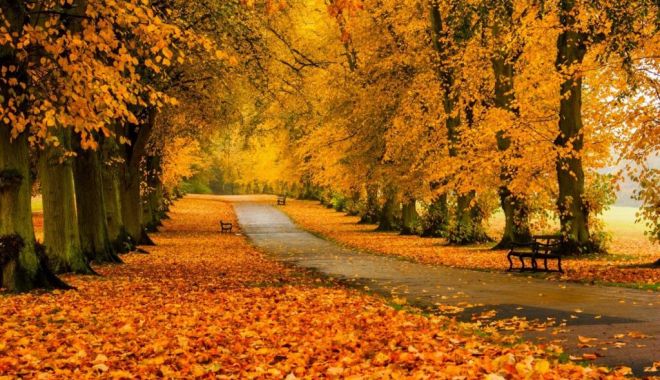 Val de aer cald peste România! Ce spun meteorologii despre vremea din perioada următoare