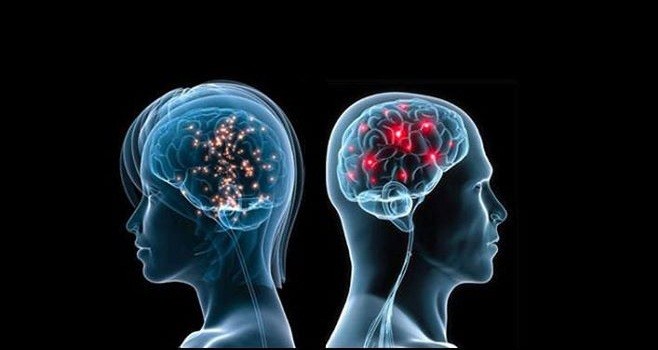 De ce este diferit creierul bărbaților de cel al femeilor - malevsfemalebrain658x350-1386859119.jpg