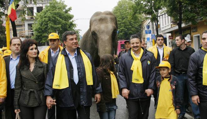 Un elefant  și o... Manea - maneacuelefantul-1441815332.jpg