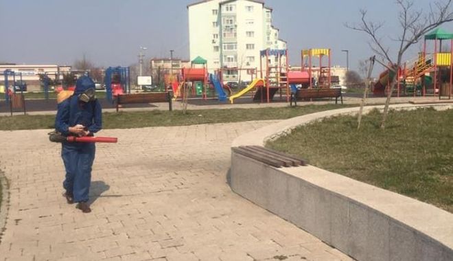 Primarul Cristian Radu: 