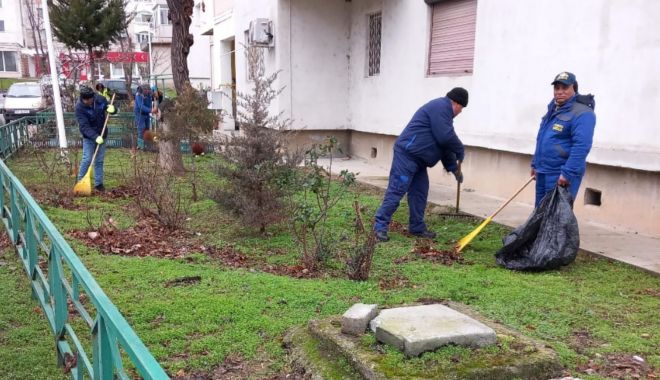 În municipiul Mangalia au fost reluate lucrările de igienizare