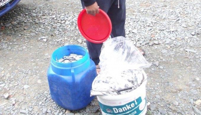 Doi mangalioți prinși de jandarmi cu zeci de kilograme de pește - mangalioti-1462813960.jpg