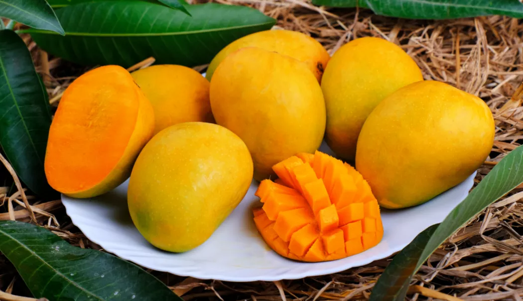 Fructe exotice în școlile din județul Constanța! Peste 1.600 de copii vor primi mango - mango-1778770812.webp